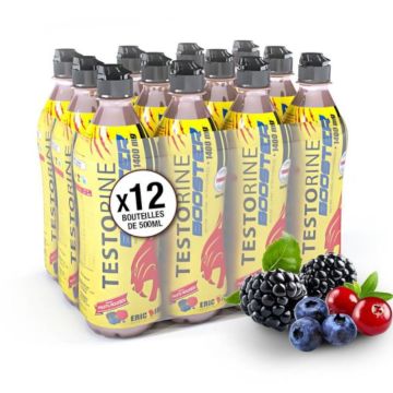 Boisson testorine - Pack de 12 unités