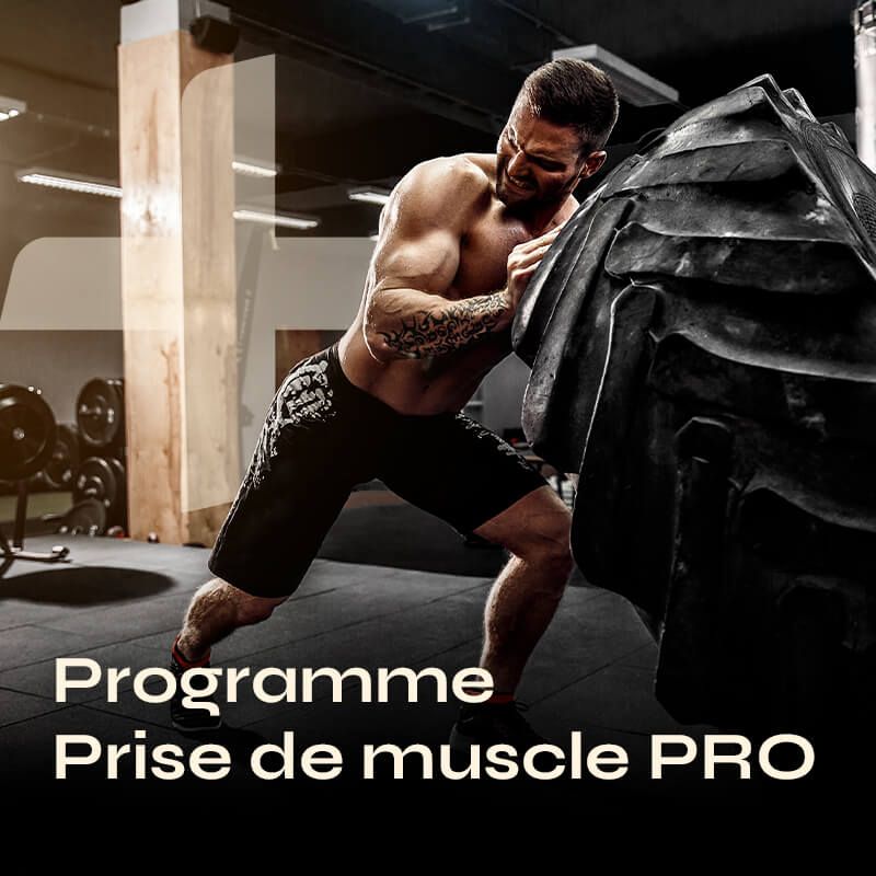 Programme Prise de Muscle Pro